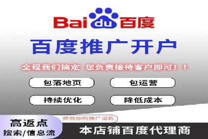 百度推广公司案例解析：如何利用大数据优化营销策略